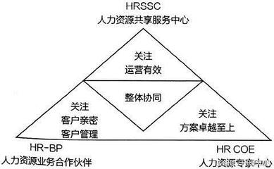 从管控到赋能 人力资源组织系统的演进与人力资源服务的未来图景